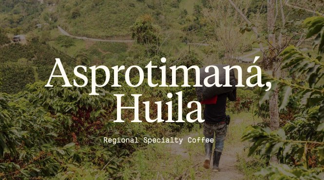 Asprotimana-cafes-diferenciados_ENG_RACAFE-green-coffee-specialty