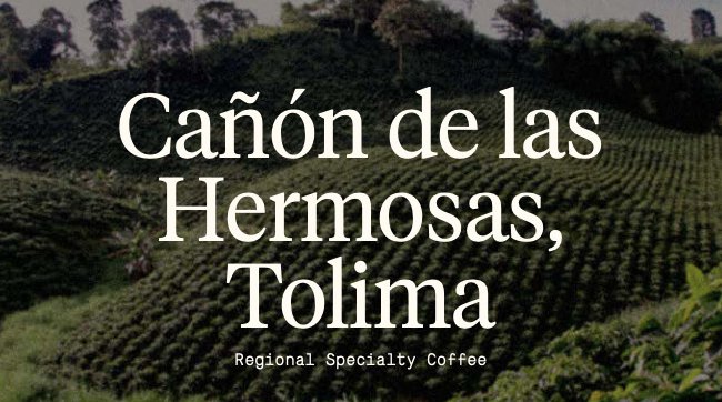 Canon-de-las-Hermosas_ENG_RACAFE-cafes-diferenciados_green-coffee-specialty