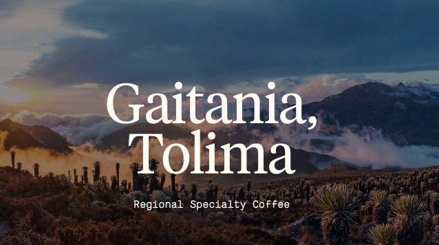 Gaitania_ENG_RACAFE-cafes-diferenciados_green-coffee-specialty