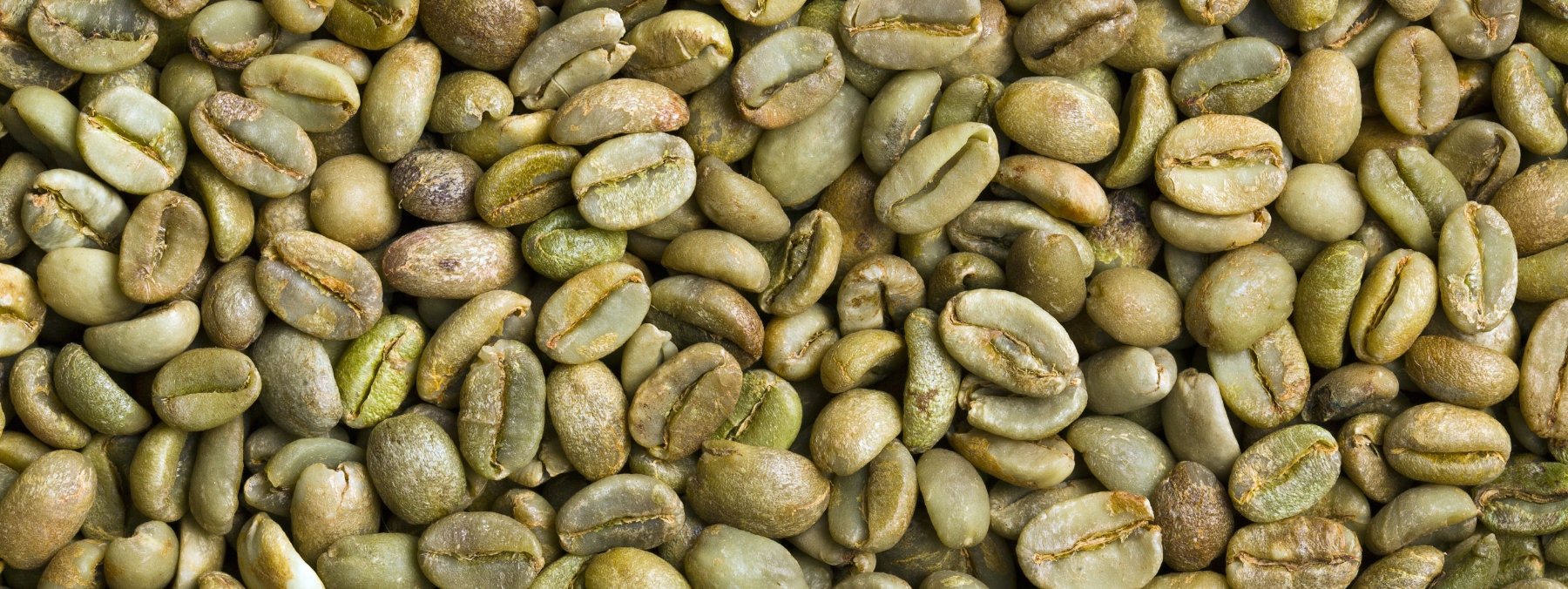 Cafe de colombia racafé exportación de café verde