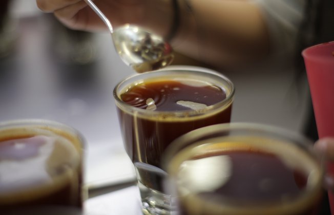 racafe catacion laboratorios centro de desarrollo