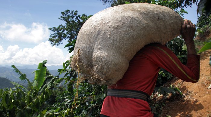 La Cabana Single Estate - Natural Traditional racafe