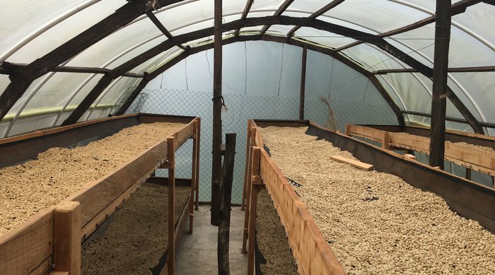 La Cumbre Anerobica Natural racafe