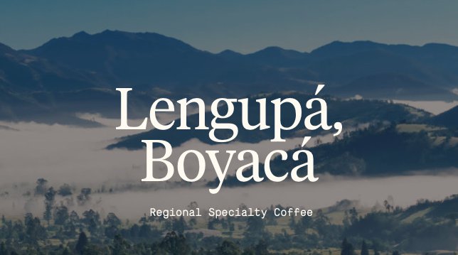 Lengupa-ENG_RACAFE-cafes-diferenciados_green-coffee-specialty