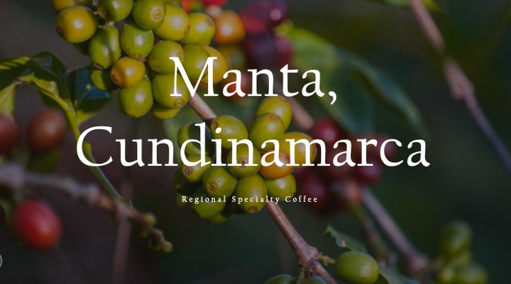 Manta-ENG_RACAFE-cafes-diferenciados_green-coffee-specialty