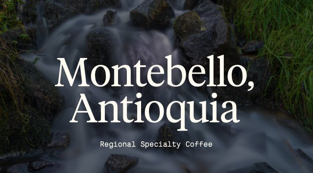 Montebello-2020-ENG_RACAFE-cafes-diferenciados_green-coffee-specialty
