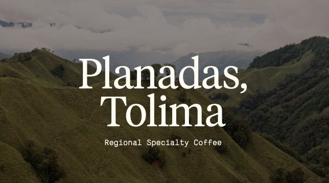 Planadas-ENG_RACAFE-cafes-diferenciados_green-coffee-specialty