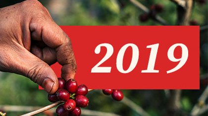 racafe apoya caficultores colombianos de cafe verde arabica