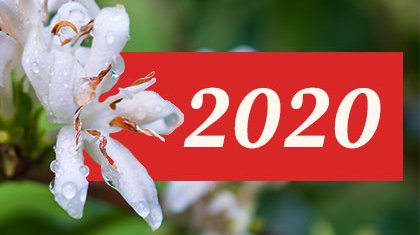 Reporte de Sostenibilidad 2020 Racafé