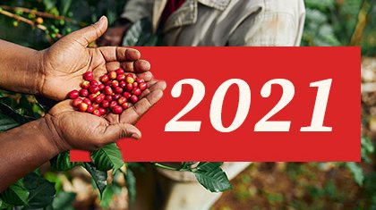 Thumbnails-reportes-sos-21