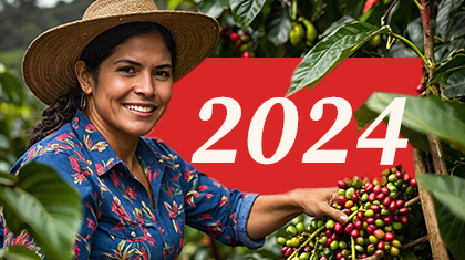 Thumbnails-reportes-sos-24