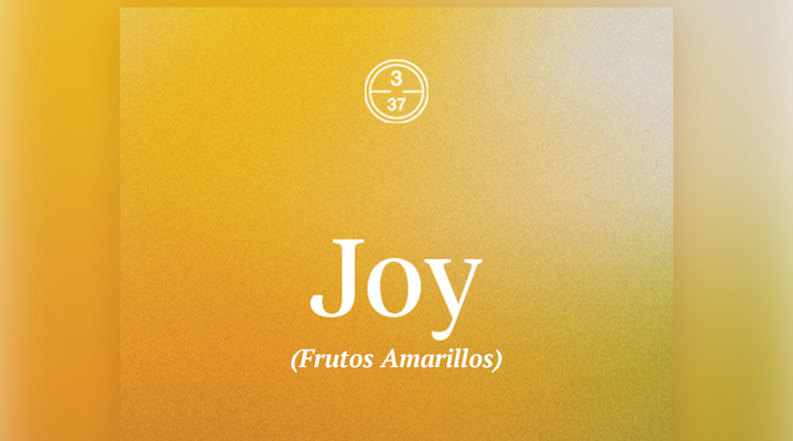 joy perfil de taza frutos amarillos racafe