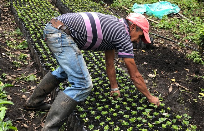 caficultor-racafe-estandar-crecer-responsabilidad-social