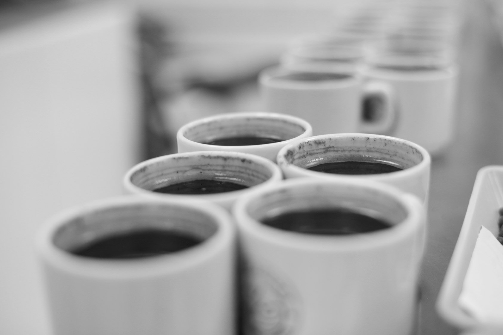 catacion-racafe-centro-de-desarrollo-6