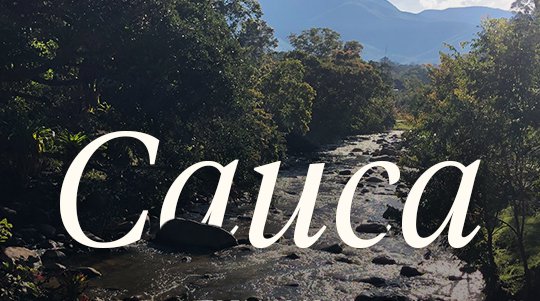 cauca-trilladora-racafe