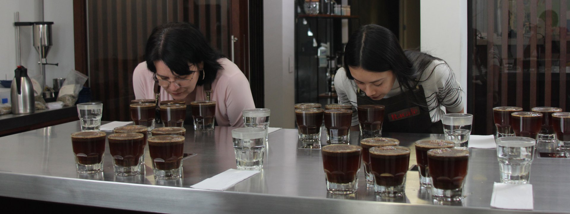 cdd-racafe-catacion-5