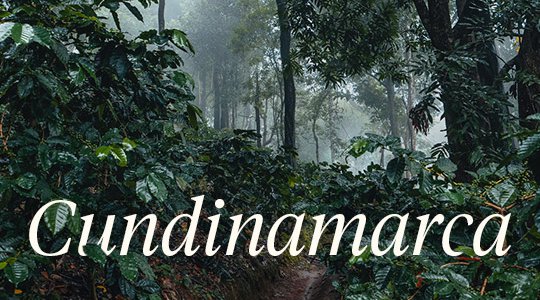 cundinamrca-racafe