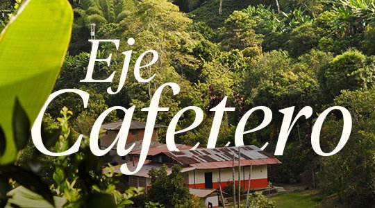 eje-cafetero