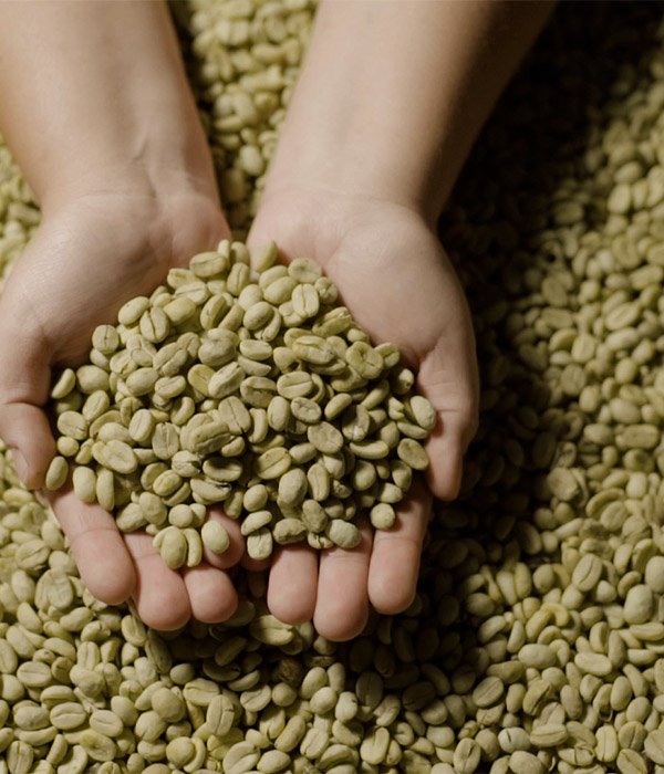 foto-detras-cards-racafe-cafe-verde