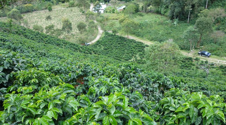 racafe 67 años de experiencia en la industria de exportación de café colombiano y café verde