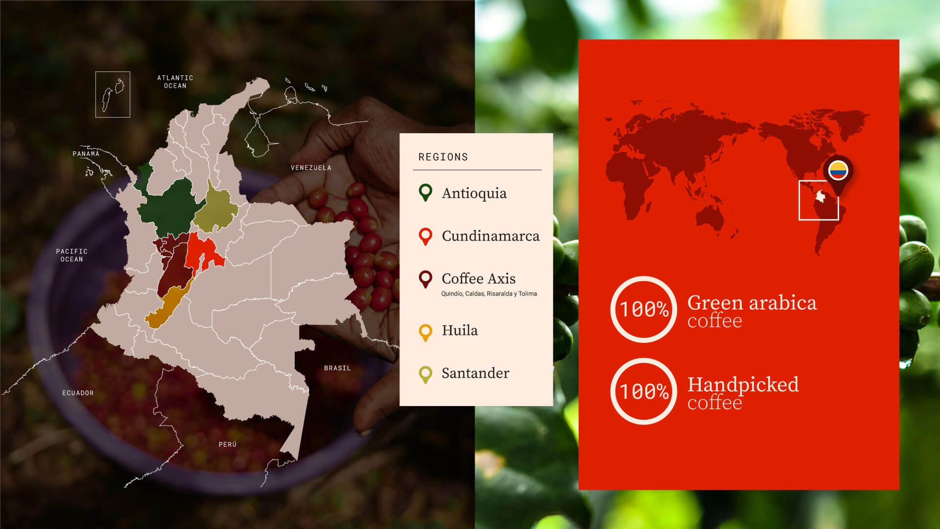 racafe-conventional-and-verified-green-colombian-coffee