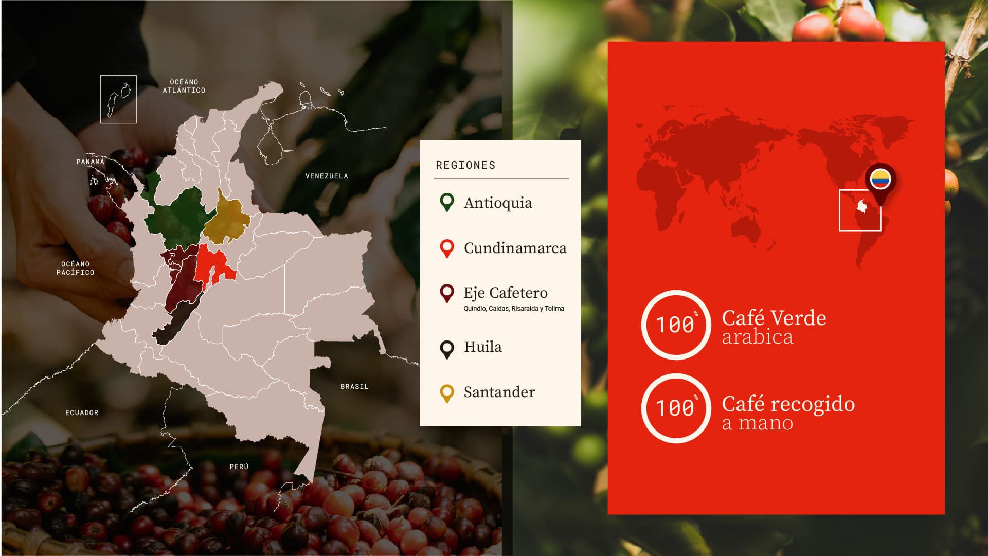 racafe-infografia-cafe-regional-convencionales-es