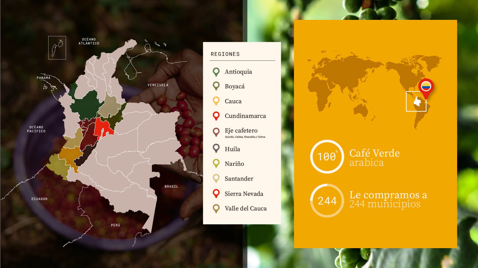 racafe-infografia-cafe-regional