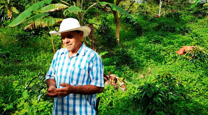 asi le hicimos frente a la pandemia