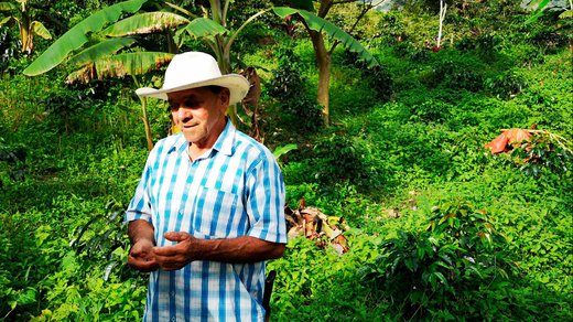 asi le hicimos frente a la pandemia