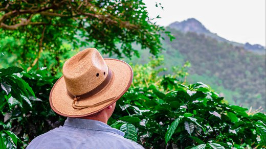 racafe-cafe-verde-colombiano-tipo-exportacion