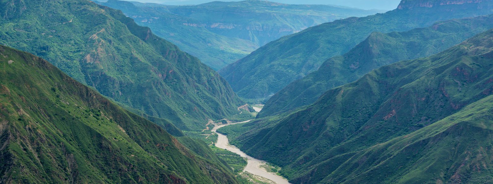 santander racfe cafe verde regional colombiano