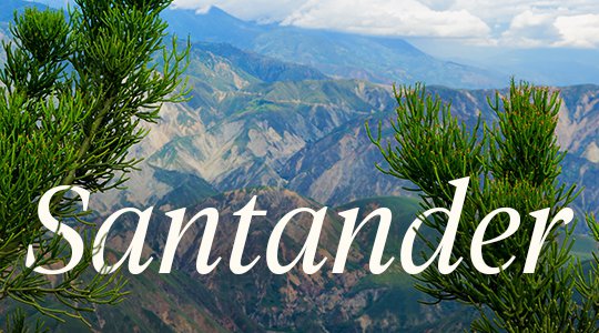 trilladora-santander-racafe