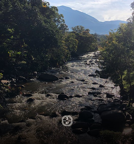 trilladoras-racafe-cauca