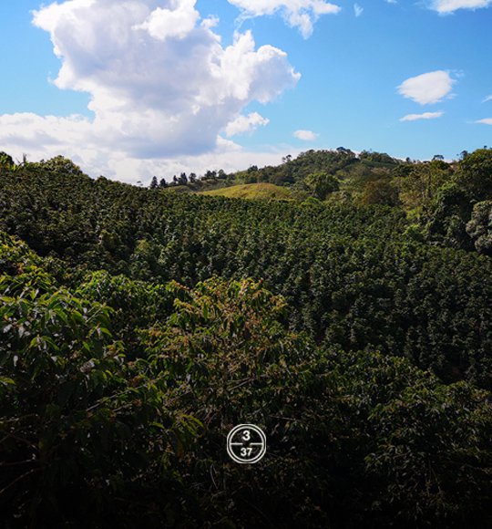 trilladoras-racafe-huila