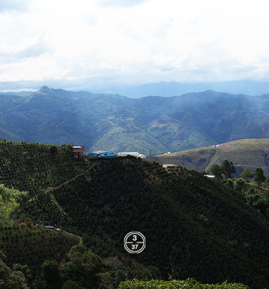 trilladoras-racafe-risaralda