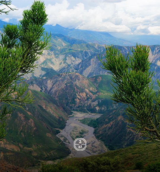 trilladoras-racafe-santander